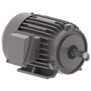 NP0016 Teco-Westinghouse 1HP Cast Iron Electric Motor, 1200 RPM-1