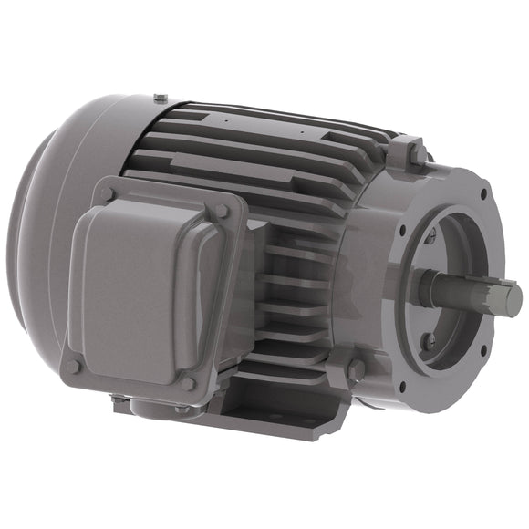 NP0016C 1 HP Teco-Westinghouse Cast Iron Electric Motor, 1200 RPM