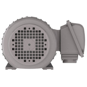 NP0016C 1 HP Teco-Westinghouse Cast Iron Electric Motor, 1200 RPM - 0