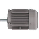 NP0016 Teco-Westinghouse 1HP Cast Iron Electric Motor, 1200 RPM-4