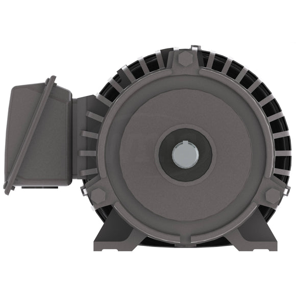 NP0016 Teco-Westinghouse 1HP Cast Iron Electric Motor, 1200 RPM