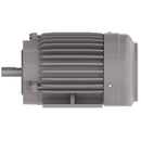 NP0022C Teco-Westinghouse 2HP Cast Iron Electric Motor, 3600 RPM-1