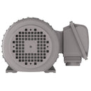 NP0022C Teco-Westinghouse 2HP Cast Iron Electric Motor, 3600 RPM-7