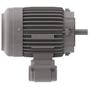 NP0022C Teco-Westinghouse 2HP Cast Iron Electric Motor, 3600 RPM-4