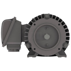 NP0022C Teco-Westinghouse 2HP Cast Iron Electric Motor, 3600 RPM - 0