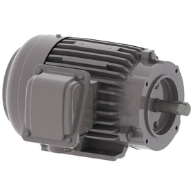 NP0024C Teco-Westinghouse 2HP Cast Iron Electric Motor, 1800 RPM