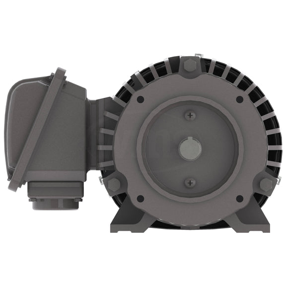 NP0024C Teco-Westinghouse 2HP Cast Iron Electric Motor, 1800 RPM