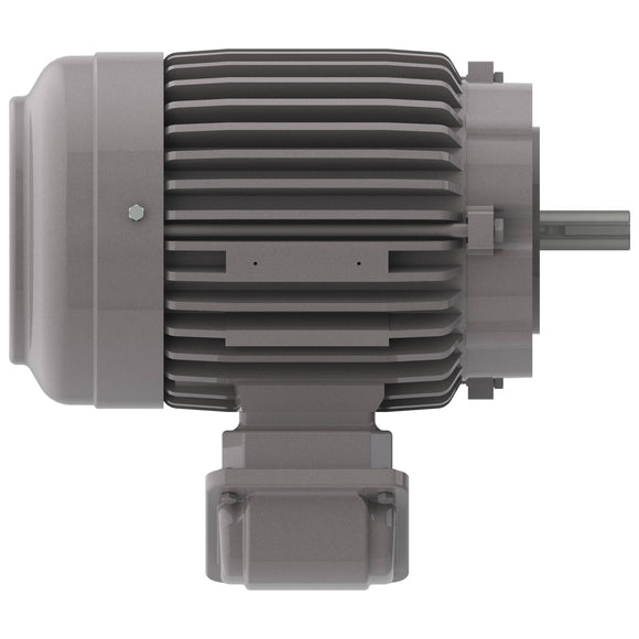 NP0024C Teco-Westinghouse 2HP Cast Iron Electric Motor, 1800 RPM