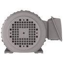 NP0024G Teco-Westinghouse 2HP Cast Iron Electric Motor, 1800 RPM-6