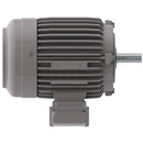 NP0024 Teco-Westinghouse 2HP Cast Iron Electric Motor, 1800 RPM-2