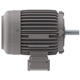 NP0024 Teco-Westinghouse 2HP Cast Iron Electric Motor, 1800 RPM - 0