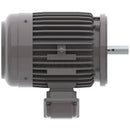 NP0026C Teco-Westinghouse 2HP Cast Iron Electric Motor, 1200 RPM-1