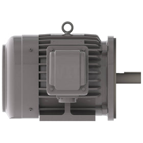 NP0032C Teco-Westinghouse 3HP Cast Iron Electric Motor, 3600 RPM