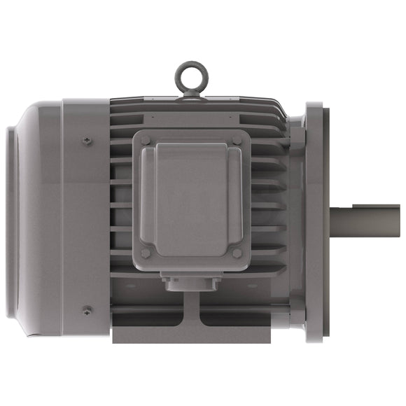 NP0032C Teco-Westinghouse 3HP Cast Iron Electric Motor, 3600 RPM