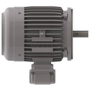 NP0032C Teco-Westinghouse 3HP Cast Iron Electric Motor, 3600 RPM-5