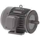 NP0032C Teco-Westinghouse 3HP Cast Iron Electric Motor, 3600 RPM-6