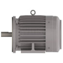 NP0032C Teco-Westinghouse 3HP Cast Iron Electric Motor, 3600 RPM-3