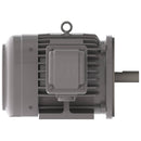 NP0034C Teco-Westinghouse 3HP Cast Iron Electric Motor, 1800 RPM-1