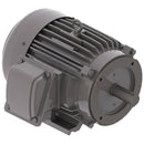 NP0036C Teco-Westinghouse 3HP Cast Iron Electric Motor, 1200 RPM-1