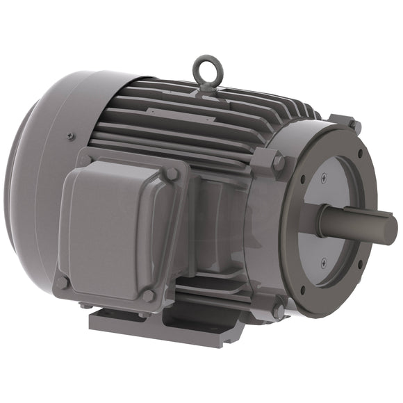 NP0036C Teco-Westinghouse 3HP Cast Iron Electric Motor, 1200 RPM