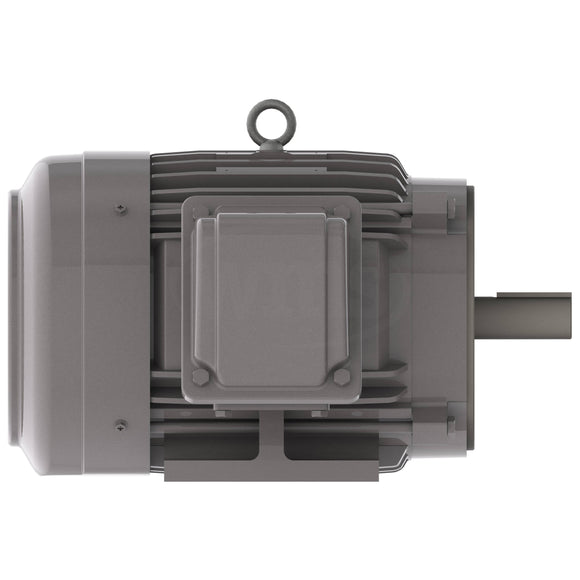 NP0036C Teco-Westinghouse 3HP Cast Iron Electric Motor, 1200 RPM