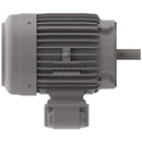 NP0036C Teco-Westinghouse 3HP Cast Iron Electric Motor, 1200 RPM-6