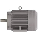 NP0036C Teco-Westinghouse 3HP Cast Iron Electric Motor, 1200 RPM-4