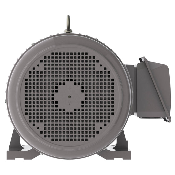 NP0036 Teco-Westinghouse 3HP Cast Iron Electric Motor, 1200 RPM