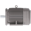 NP0052C Teco-Westinghouse 5HP Cast Iron Electric Motor, 3600 RPM-6
