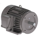 NP0052C Teco-Westinghouse 5HP Cast Iron Electric Motor, 3600 RPM-7