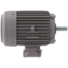 NP0102 10 HP Teco-Westinghouse Cast Iron Electric Motor, 3600 RPM