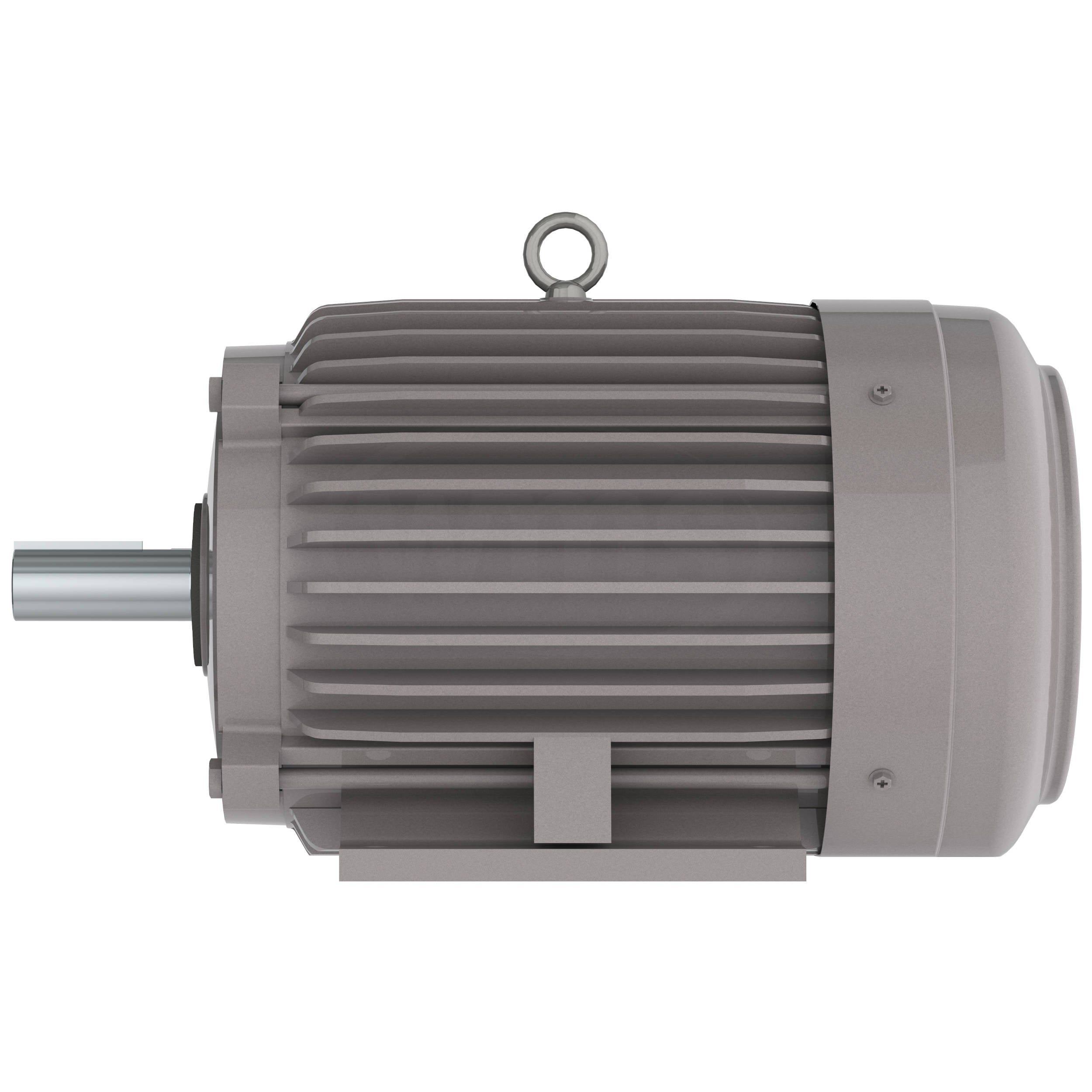 NP0102 10 HP Teco-Westinghouse Cast Iron Electric Motor, 3600 RPM
