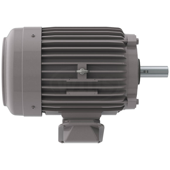 NP0104 10 HP Teco-Westinghouse Cast Iron Electric Motor, 1800 RPM
