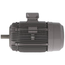 NP0106C Teco-Westinghouse 10HP Cast Iron Electric Motor, 1200 RPM-2