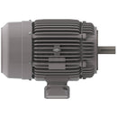 NP0152C Teco-Westinghouse 15HP Cast Iron Electric Motor, 3600 RPM-1