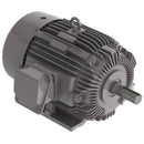 NP0156 15 HP Teco-Westinghouse Cast Iron Electric Motor, 1200 RPM-7