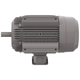 NP0202C Teco-Westinghouse 20HP Cast Iron Electric Motor, 3600 RPM - 0