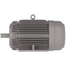 NP0204C Teco-Westinghouse 20HP Cast Iron Electric Motor, 1800 RPM-6