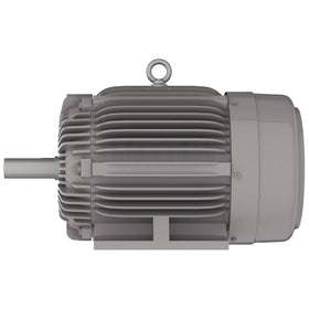 NP0252 25 HP Teco-Westinghouse Cast Iron Electric Motor, 3600 RPM - 0