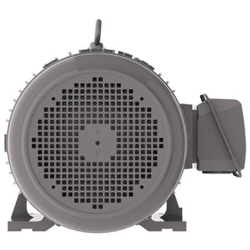 NP0254 25 HP Teco-Westinghouse Cast Iron Electric Motor, 1800 RPM