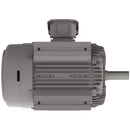 NP0254 25 HP Teco-Westinghouse Cast Iron Electric Motor, 1800 RPM-3