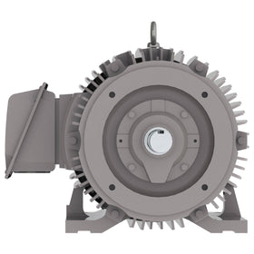NP0306C 30 HP Teco-Westinghouse Cast Iron Electric Motor, 1200 RPM