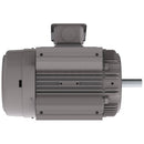 NP0306C 30 HP Teco-Westinghouse Cast Iron Electric Motor, 1200 RPM-4