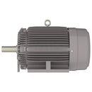 NP0502 Teco-Westinghouse 50HP Cast Iron Electric Motor, 3600 RPM-3