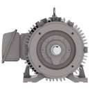 NP0504C 50 HP Teco-Westinghouse Cast Iron Electric Motor, 1800 RPM-6