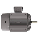 NP0504 Teco-Westinghouse 50HP Cast Iron Electric Motor, 1800 RPM-7