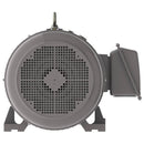 NP0506C Teco-Westinghouse 50HP Cast Iron Electric Motor, 1200 RPM-1