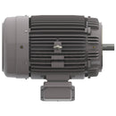 NP0506C Teco-Westinghouse 50HP Cast Iron Electric Motor, 1200 RPM-5