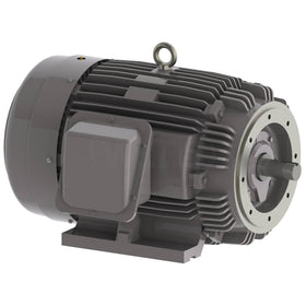 NP0754C Teco-Westinghouse 75HP Cast Iron Electric Motor, 1800 RPM