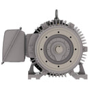 NP1002C Teco-Westinghouse 100HP Cast Iron Electric Motor, 3600 RPM-1